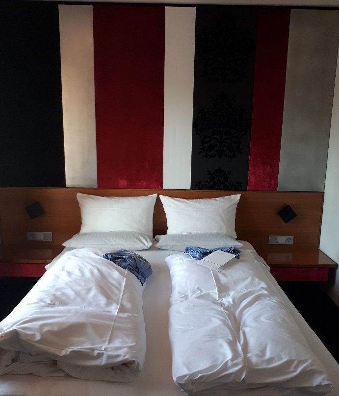 施劳斯侯普费罗酒店主图