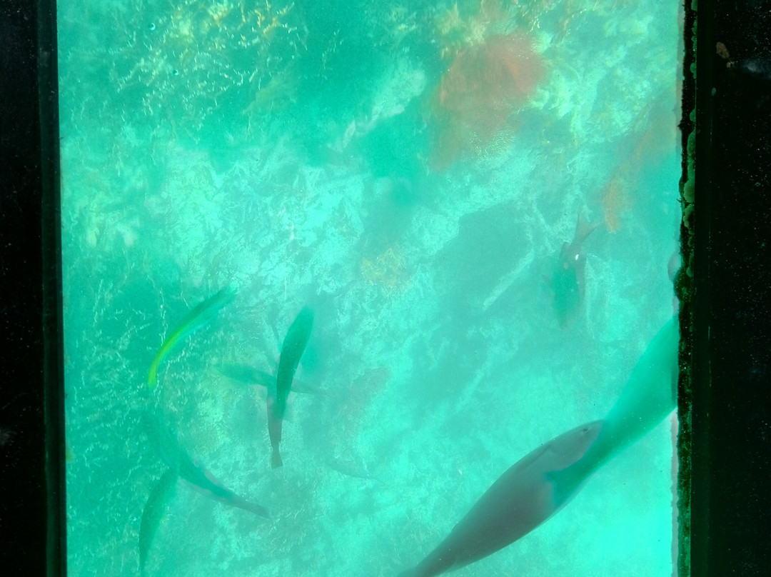 川平湾-石垣市必去景点