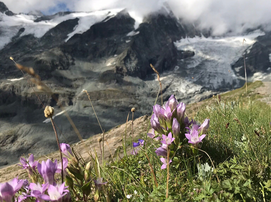 Großglockner National Park景点图片