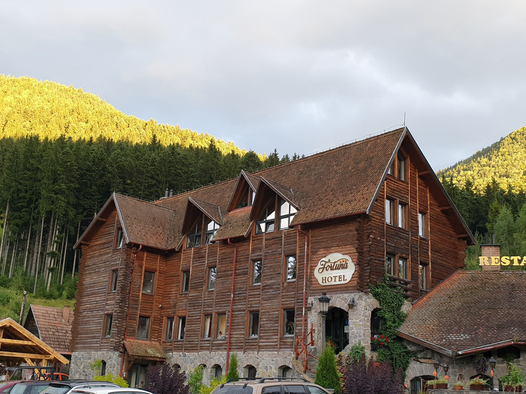 Fortuna Eco Boutique Hotel主图