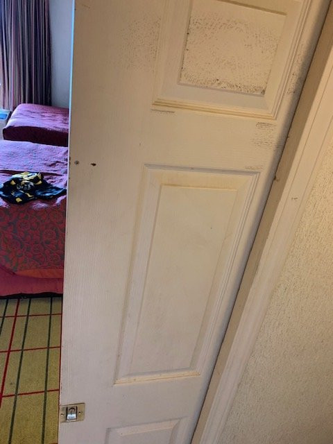 SpringHill Suites by Marriott Pittsburgh Airport主图