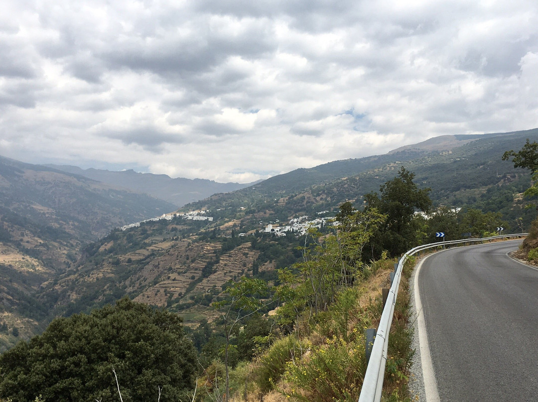 Alpujarra Bikes景点图片