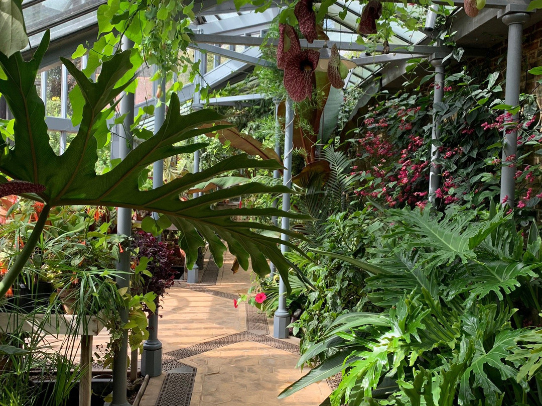 Woolbeding Gardens景点图片