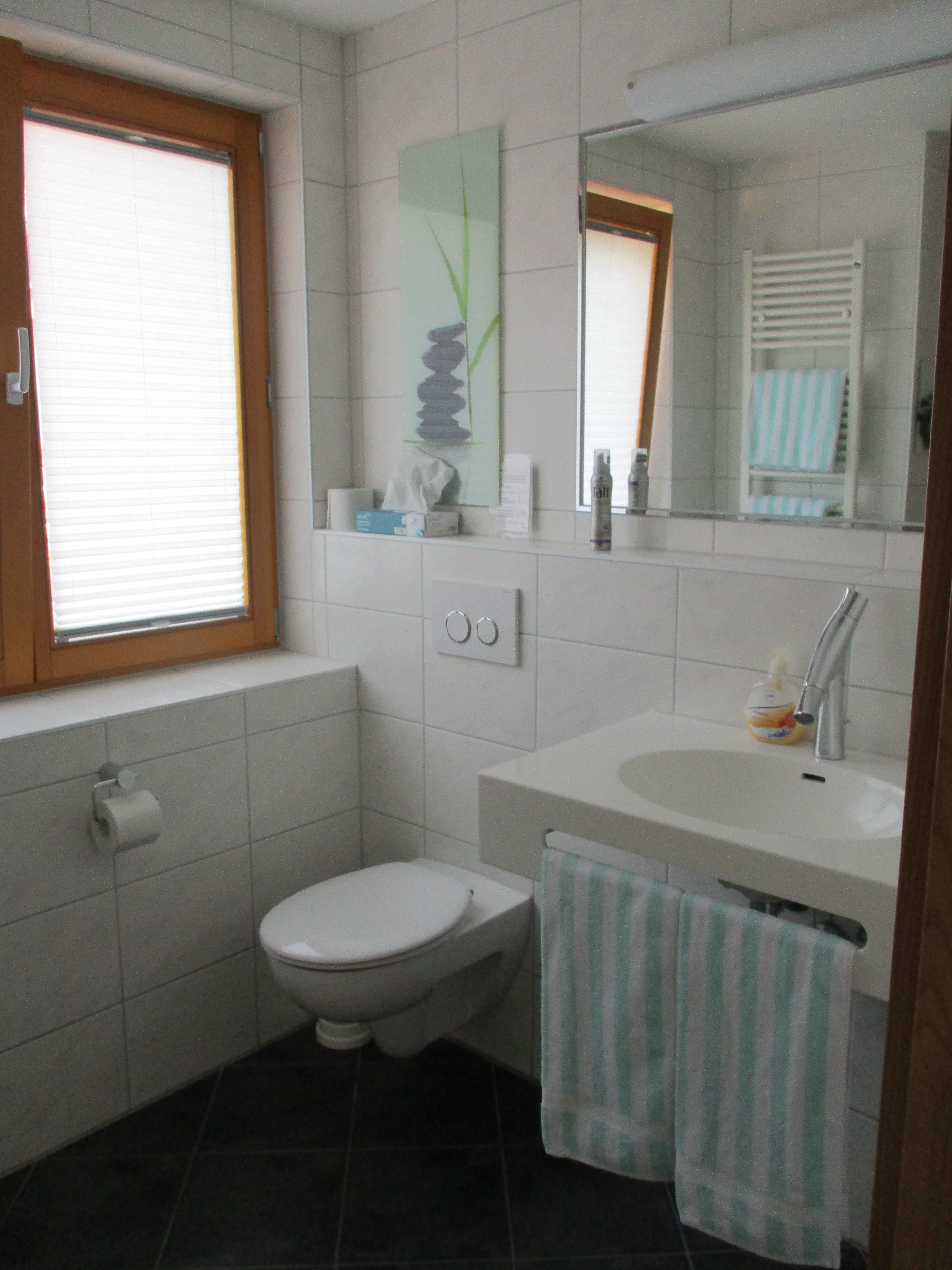 Gasthof Hirschen-Dorfmuehle-浴室