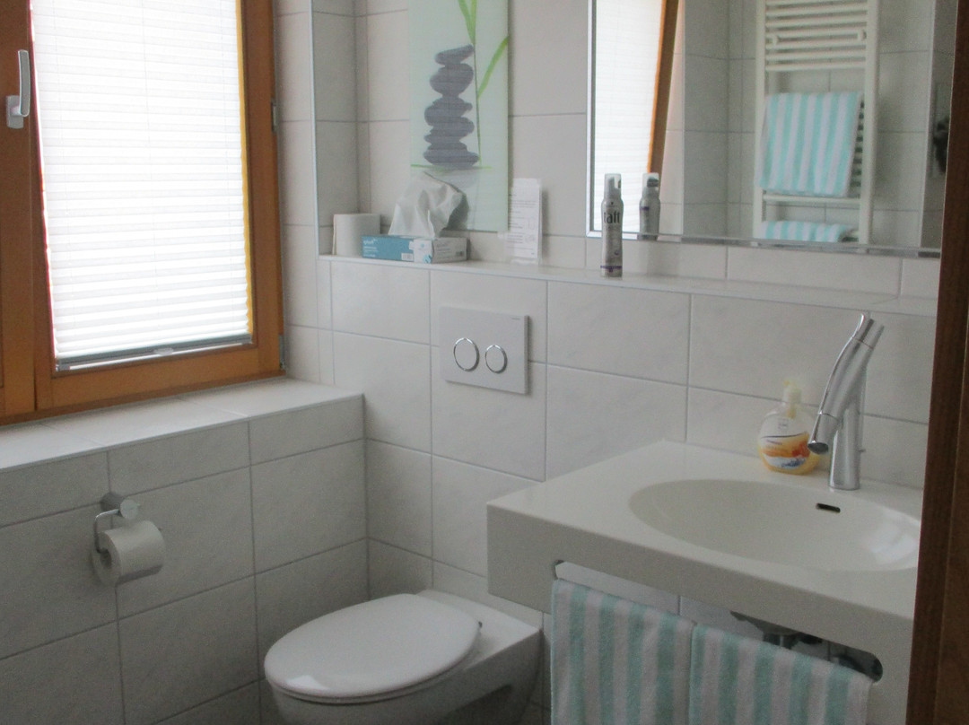 Gasthof Hirschen-Dorfmuehle主图