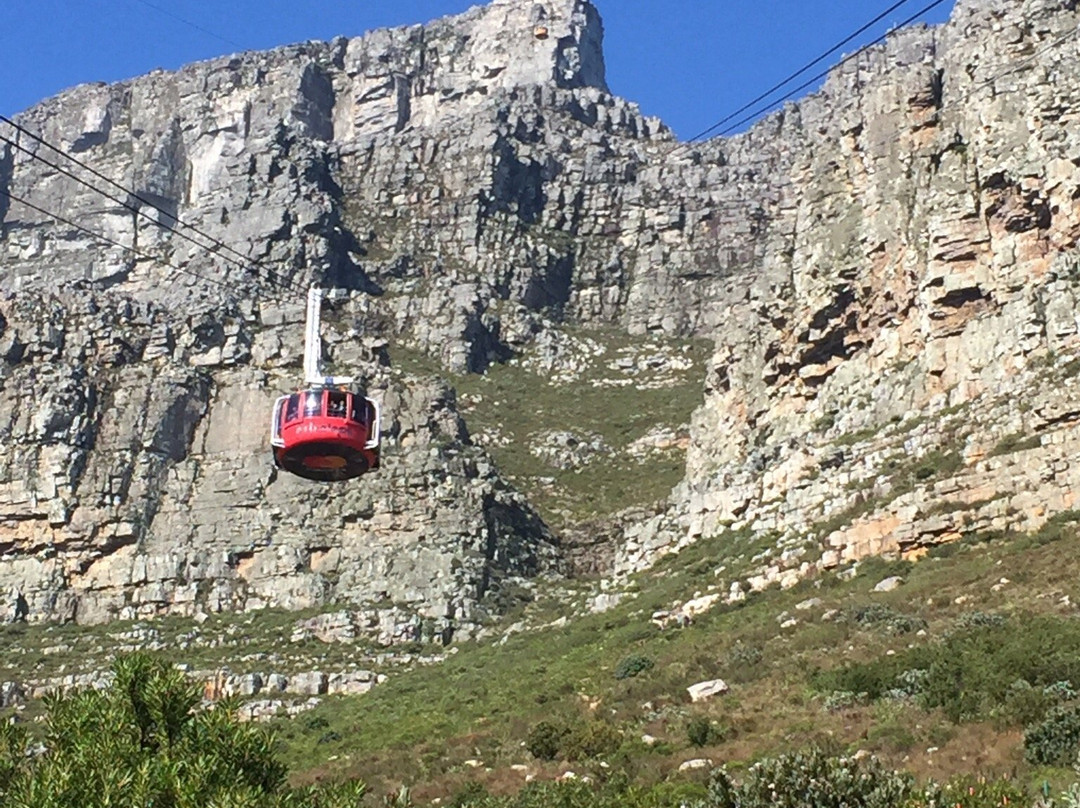 Cape Tours and Adventures