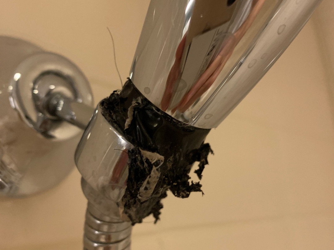 阿灵顿艾美酒店主图