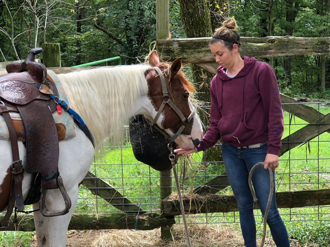 Old Family Farm Trail Rides-Macks Creek必去景点