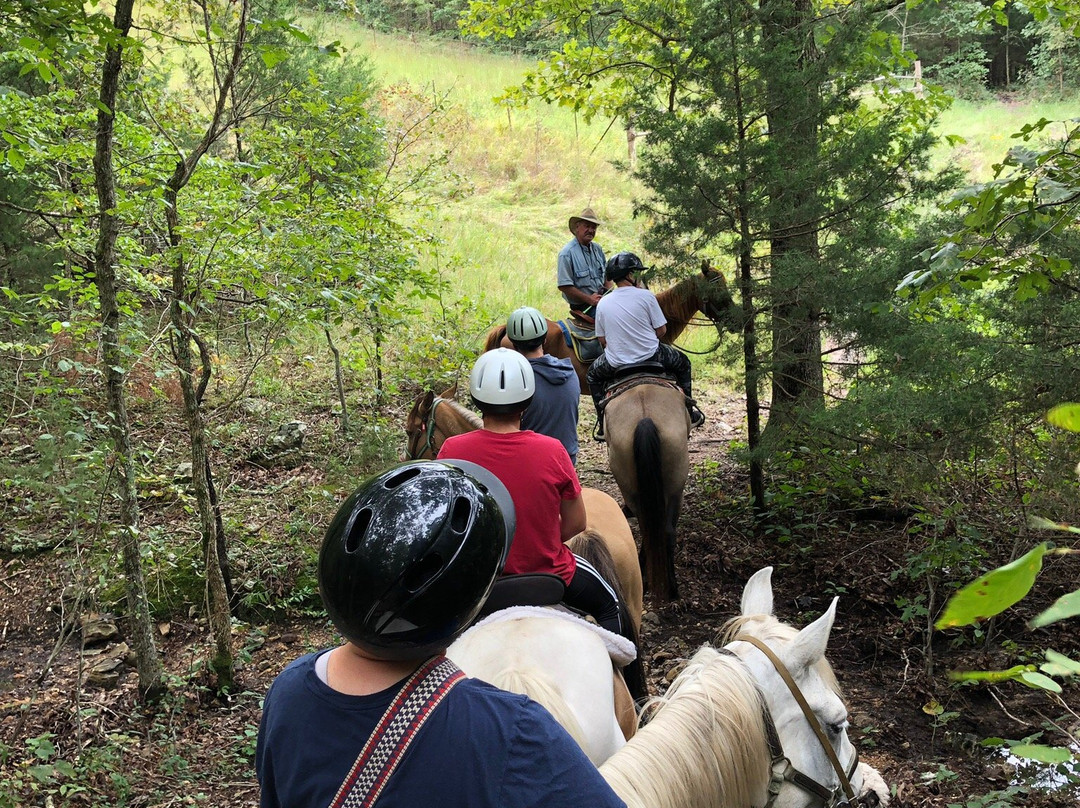 Old Family Farm Trail Rides-Macks Creek必去景点
