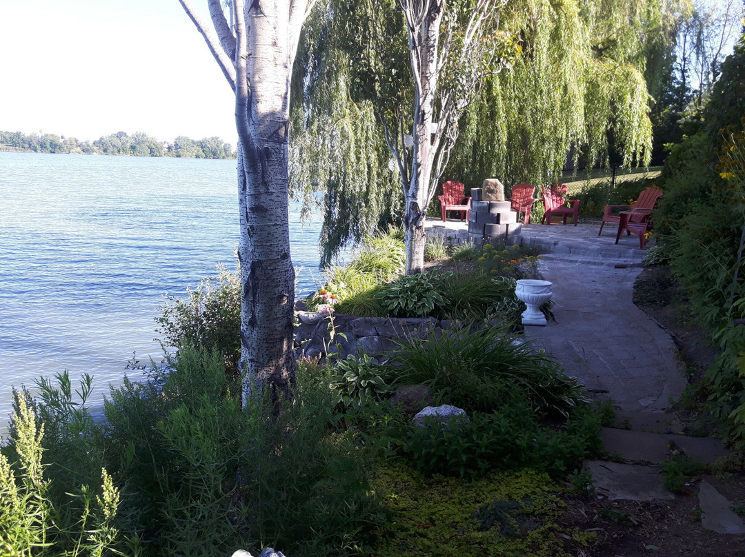 La Belle aux Berges主图