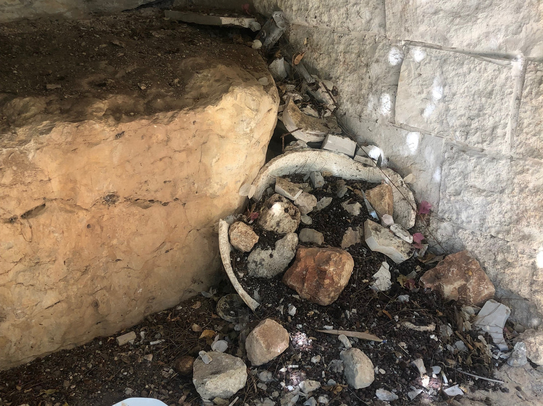 Herbert Samuel Bayit Bagalil Boutique主图