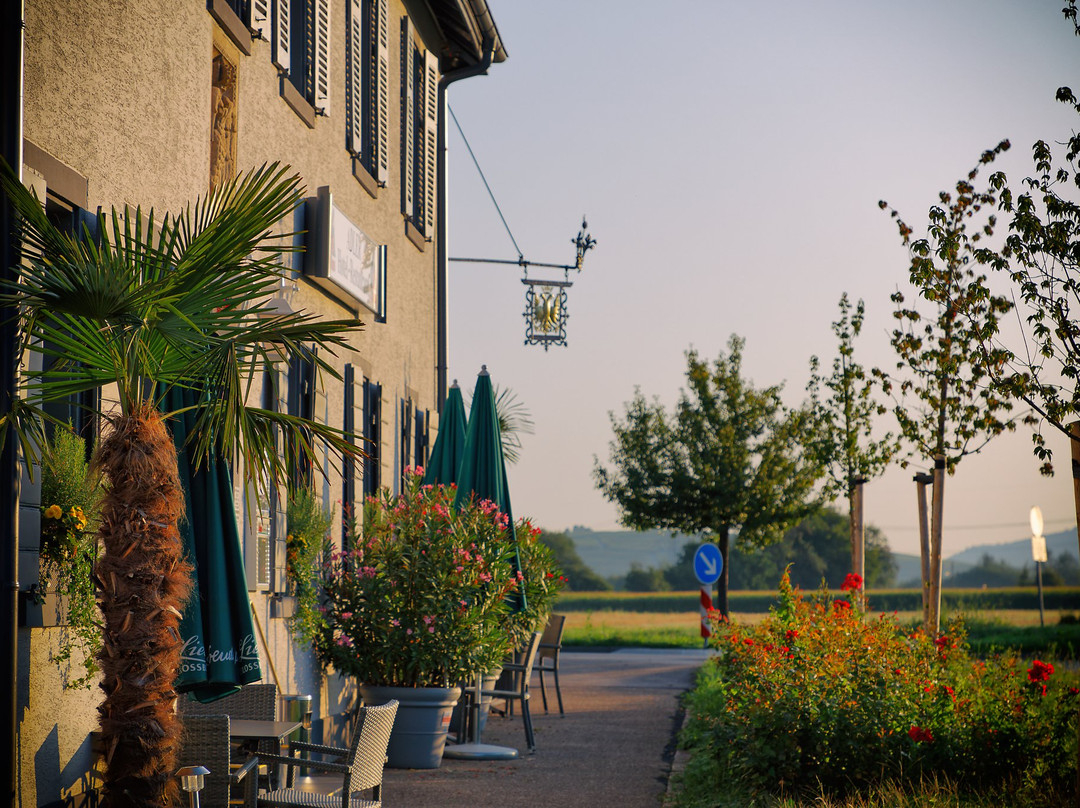 Hotel Landgasthof Adler主图