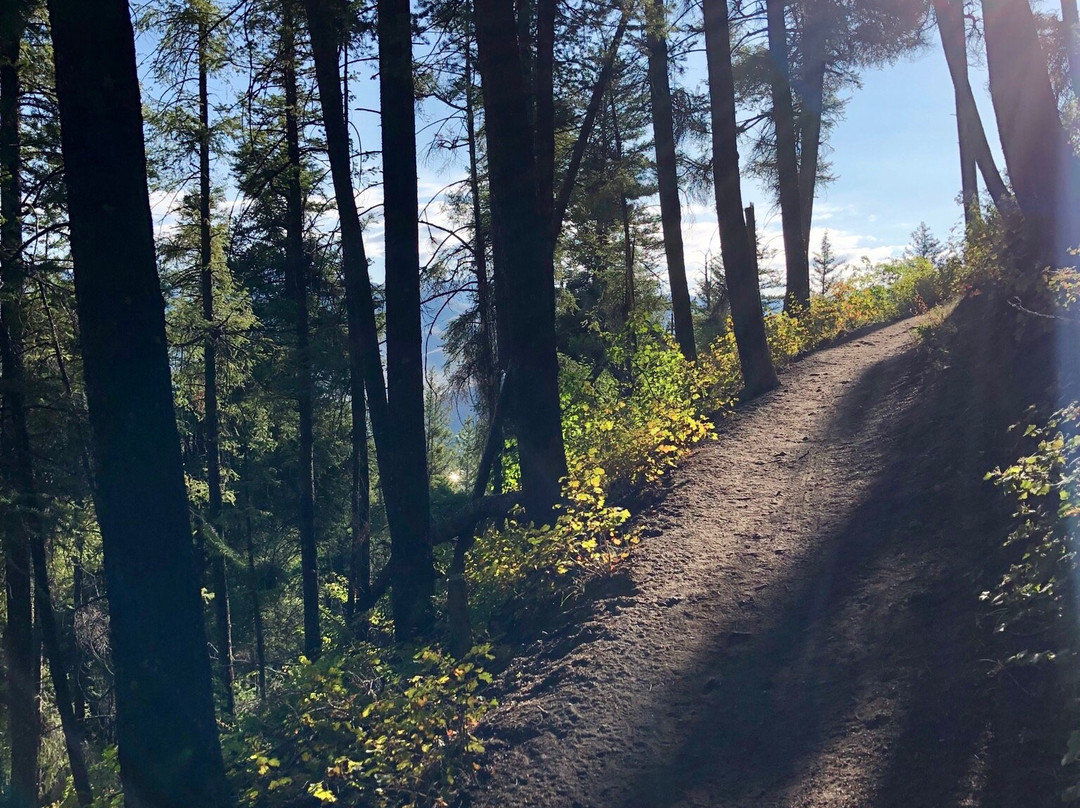 Bald Mountain Trail-森瓦利必去景点