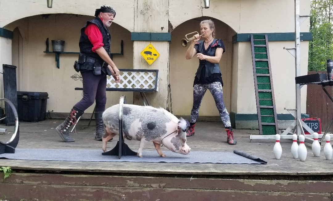 The Great Lakes Medieval Faire-Rock Creek必去景点