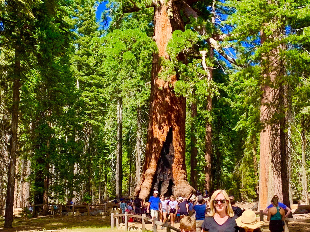 Yosemite Private Tours景点图片