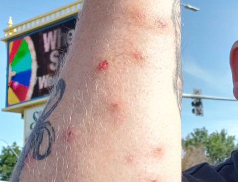 罗迪欧旅社主图