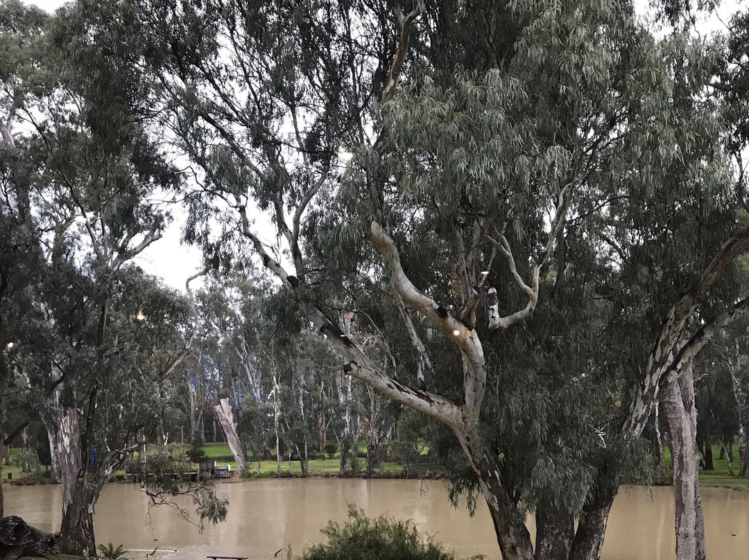 Echuca Moama Tourism景点图片