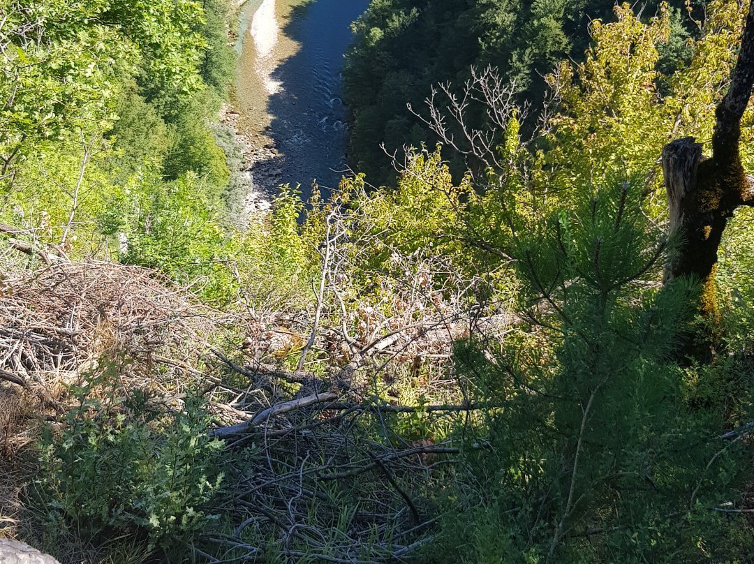 Tara Canyon Raft景点图片