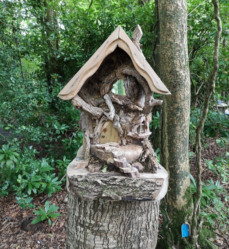 Erica's Fairy Forest-Cootehill必去景点