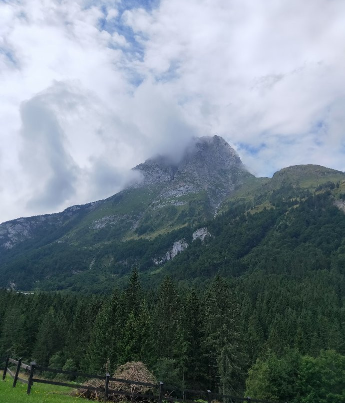 Hotel Erlenhof主图