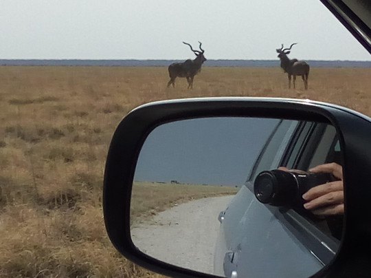 Alchemist Tours and Transfers-温德和克必去景点