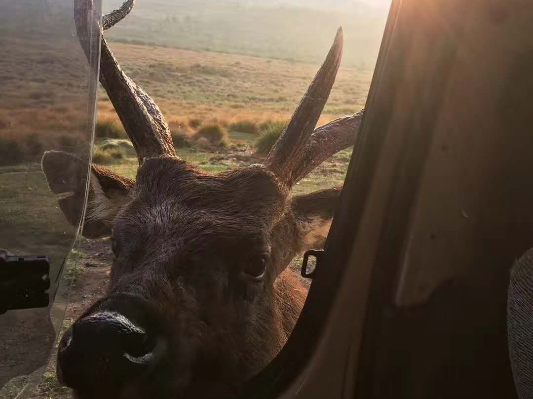 Nuwara Eliya Easy Taxi & Tours-奴娃拉伊利雅必去景点