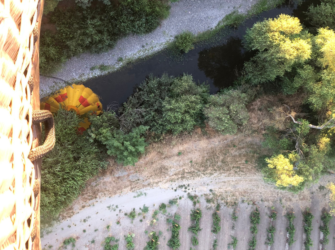 Sonoma Ballooning Adventures景点图片