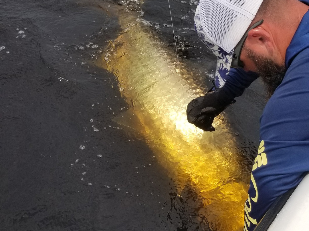 Airborne Outdoors Fishing Charters with Capt. Chris Fanelli-Placida必去景点