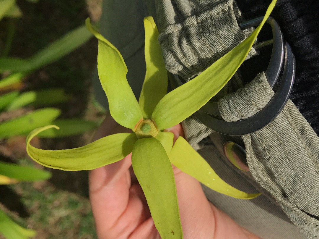 Jardin Botanique de Guyane-Macouria必去景点