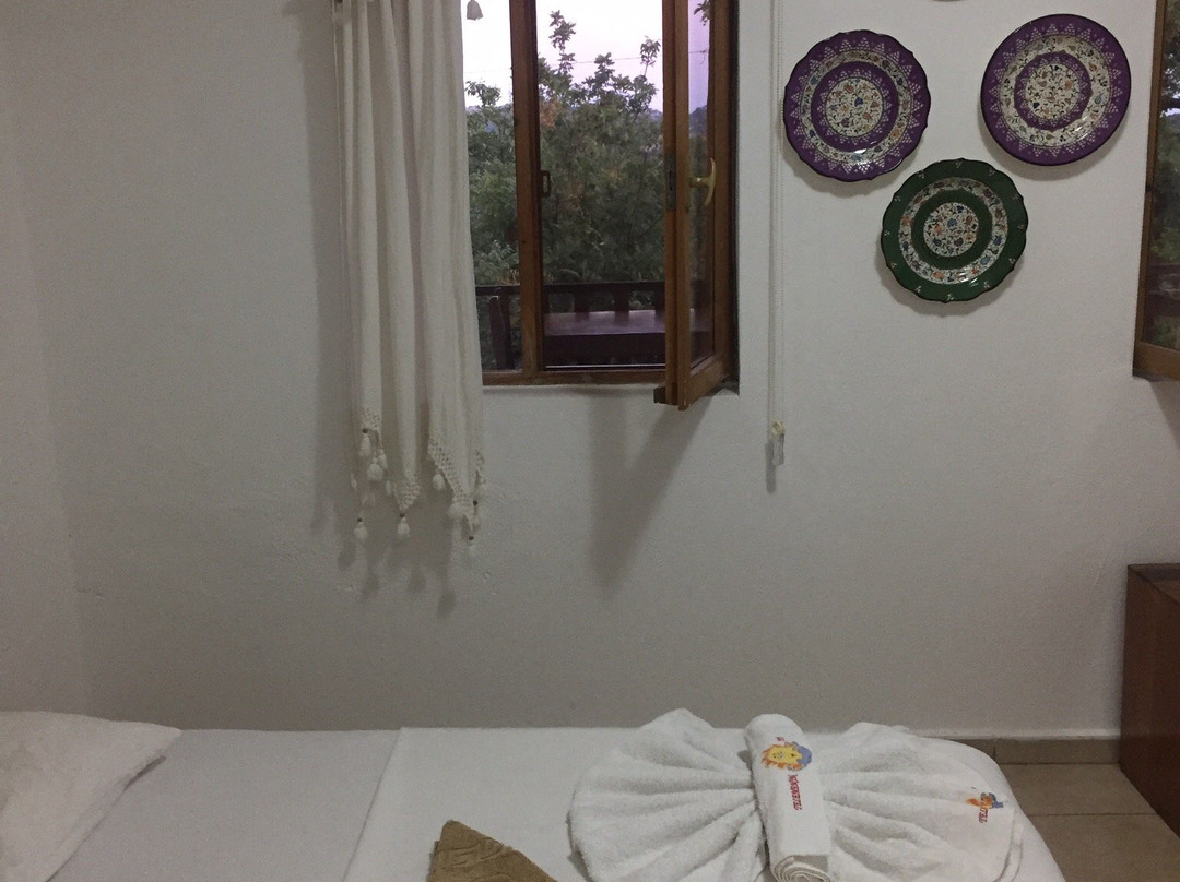 Telemen'in Evi Pansiyon主图