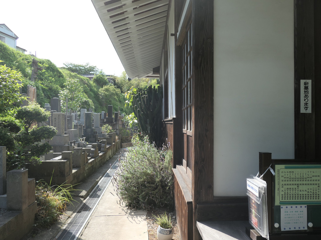 Koshoji Temple-镰仓市必去景点