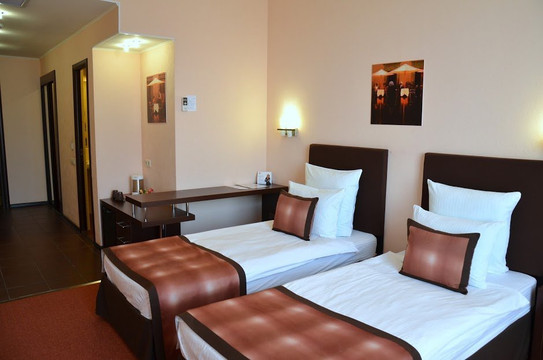 鲁缅采沃太阳花酒店主图