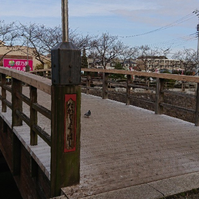 Ebi River-船桥市必去景点