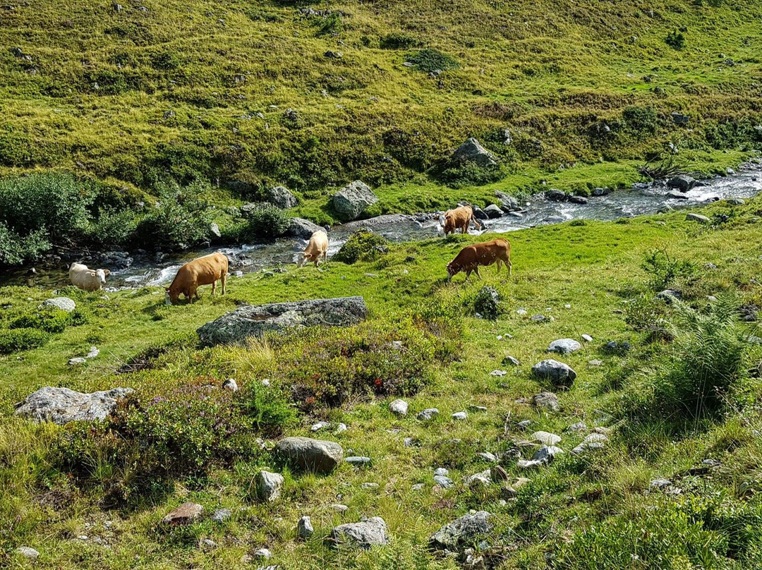 Wanderweg zur Feldnerhütte景点图片