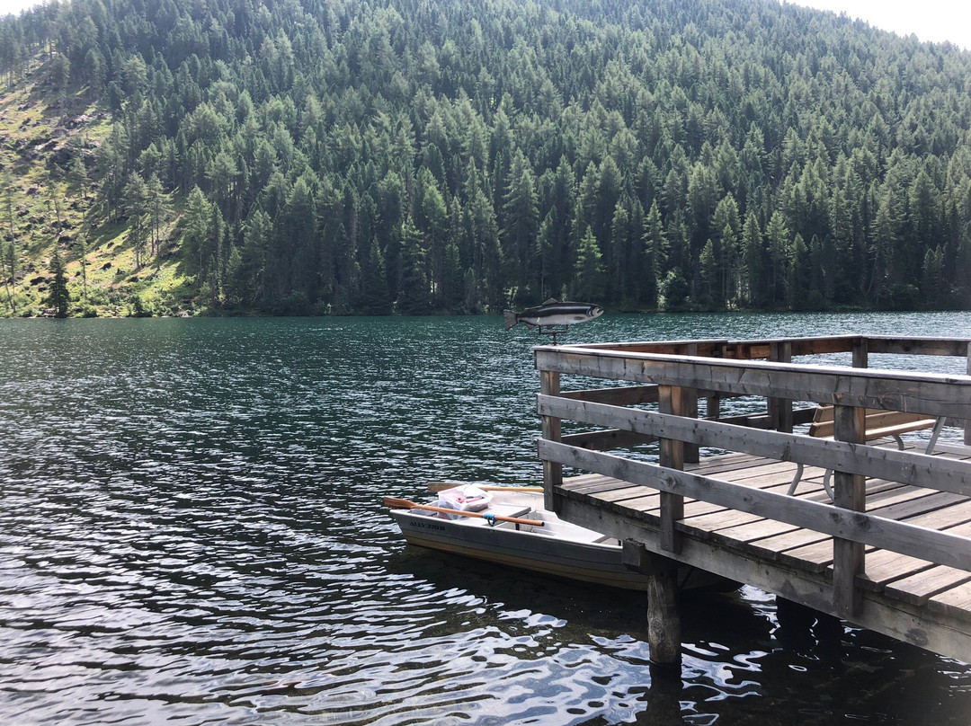 Almhotel Bergerhof主图