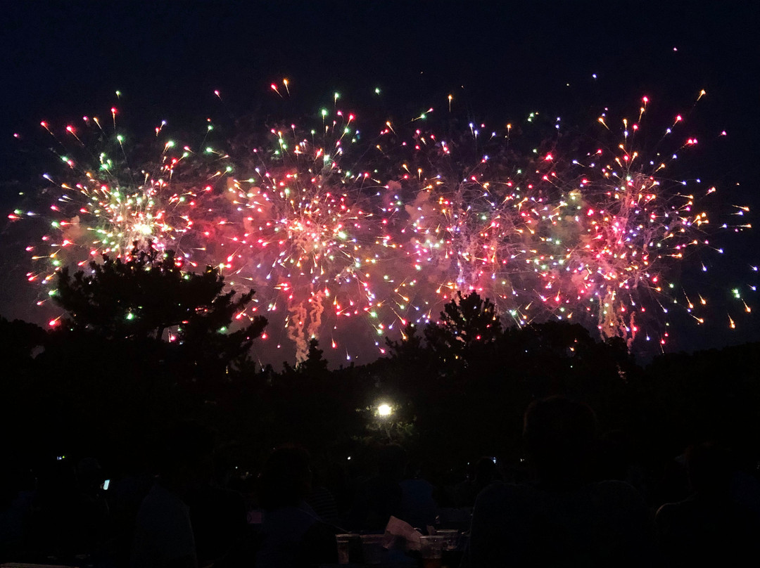 Edogawa Fireworks-江戸川区必去景点