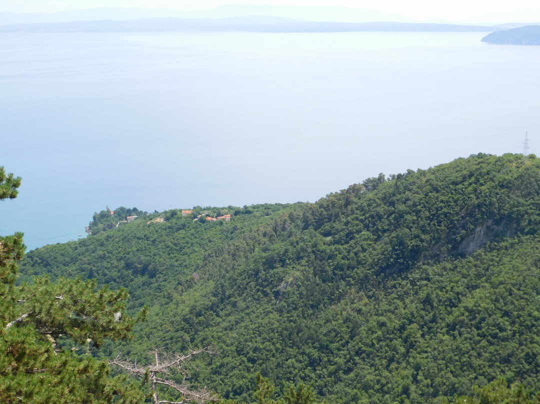 Hotel Draga di Lovrana主图