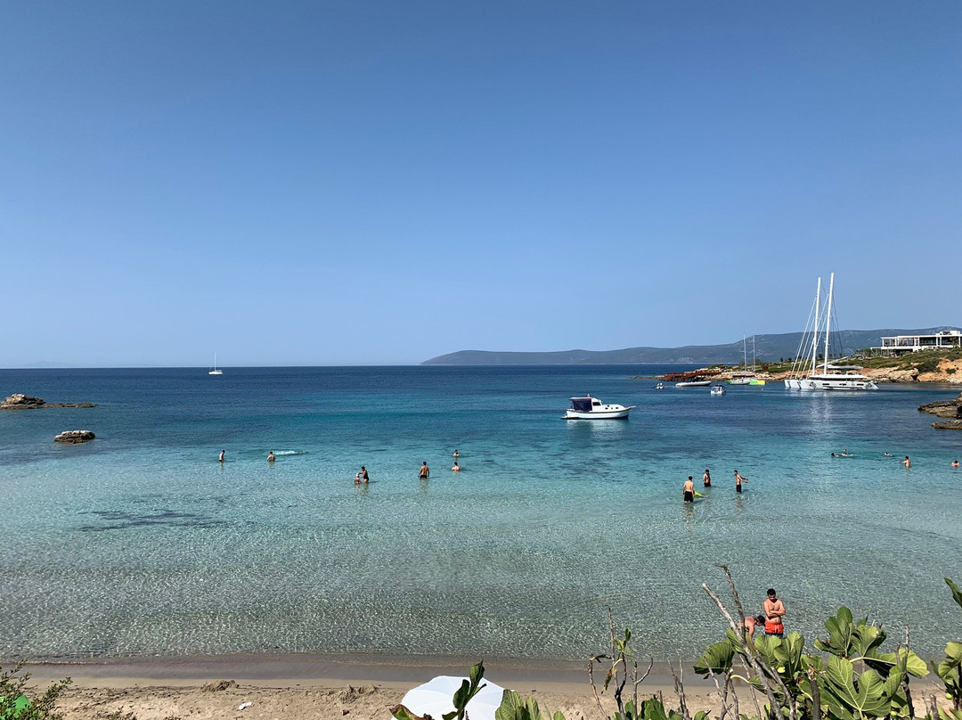 Ekmeksiz Plaji景点图片