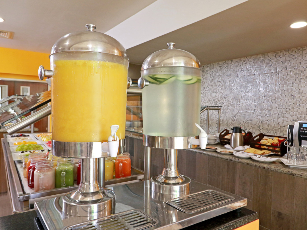 Holiday Inn Tampico Altamira by IHG主图