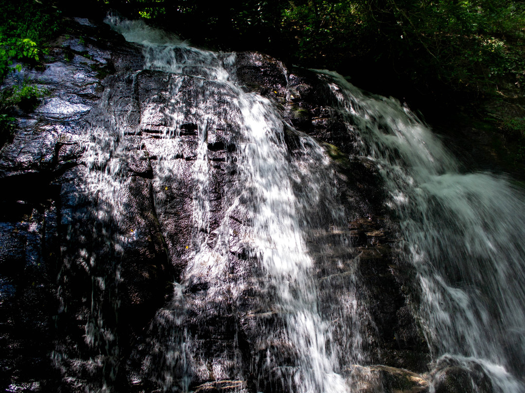 Juney Whank Falls景点图片