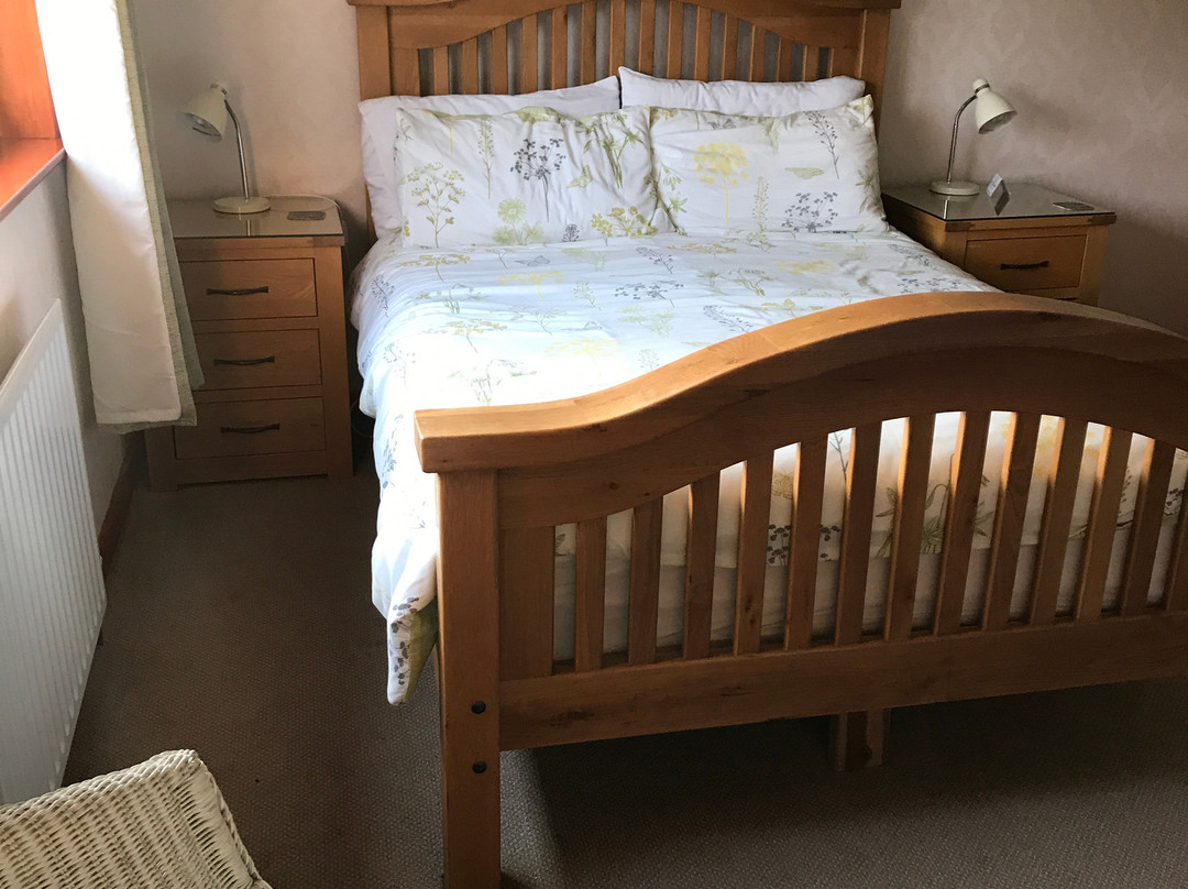 Avalon Guesthouse主图