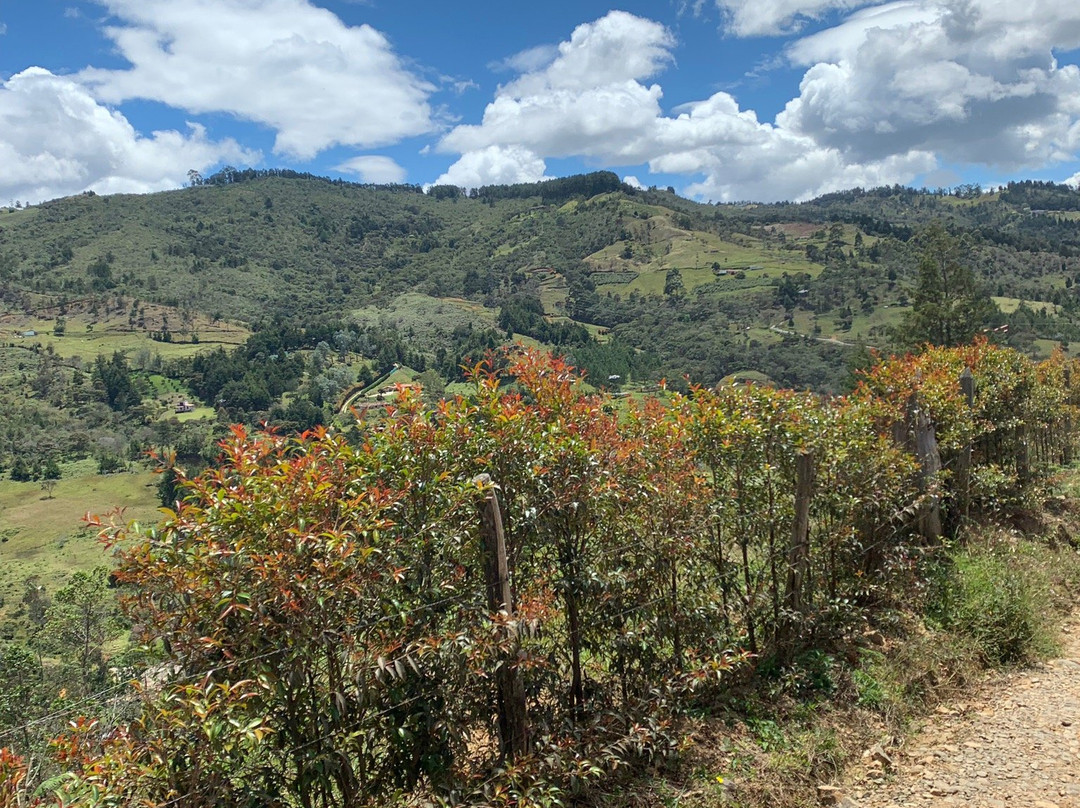 Medellin Adventure Trails景点图片