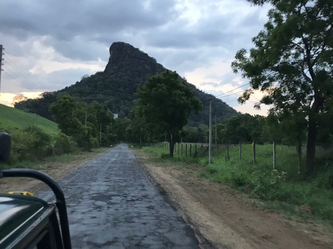 Rathnapriya Safari Guest Galoya主图