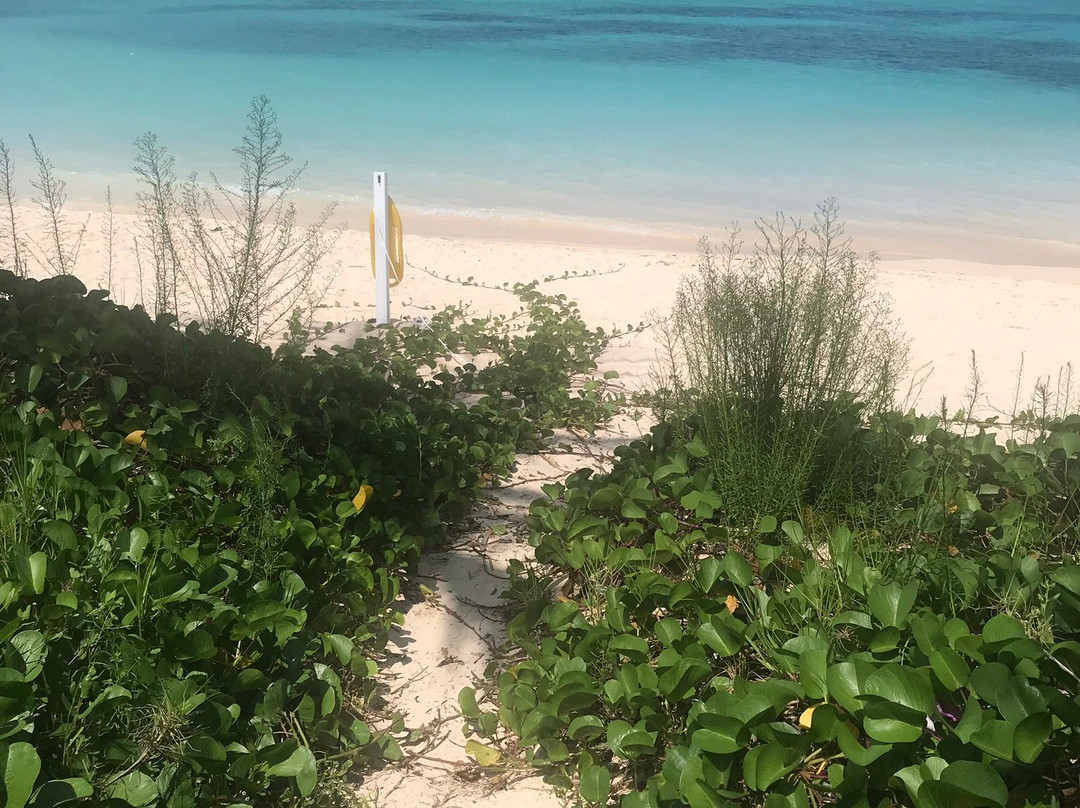 Cool Run Ins Bermuda-Ireland Island必去景点