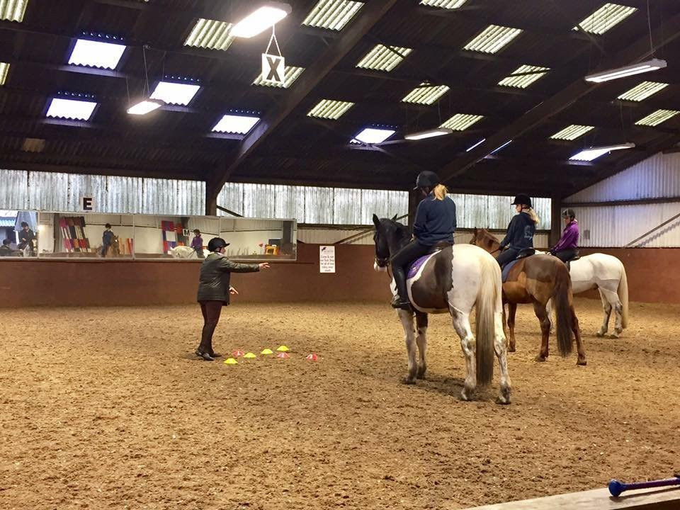 Murton Equestrian Centre-纽卡斯尔必去景点