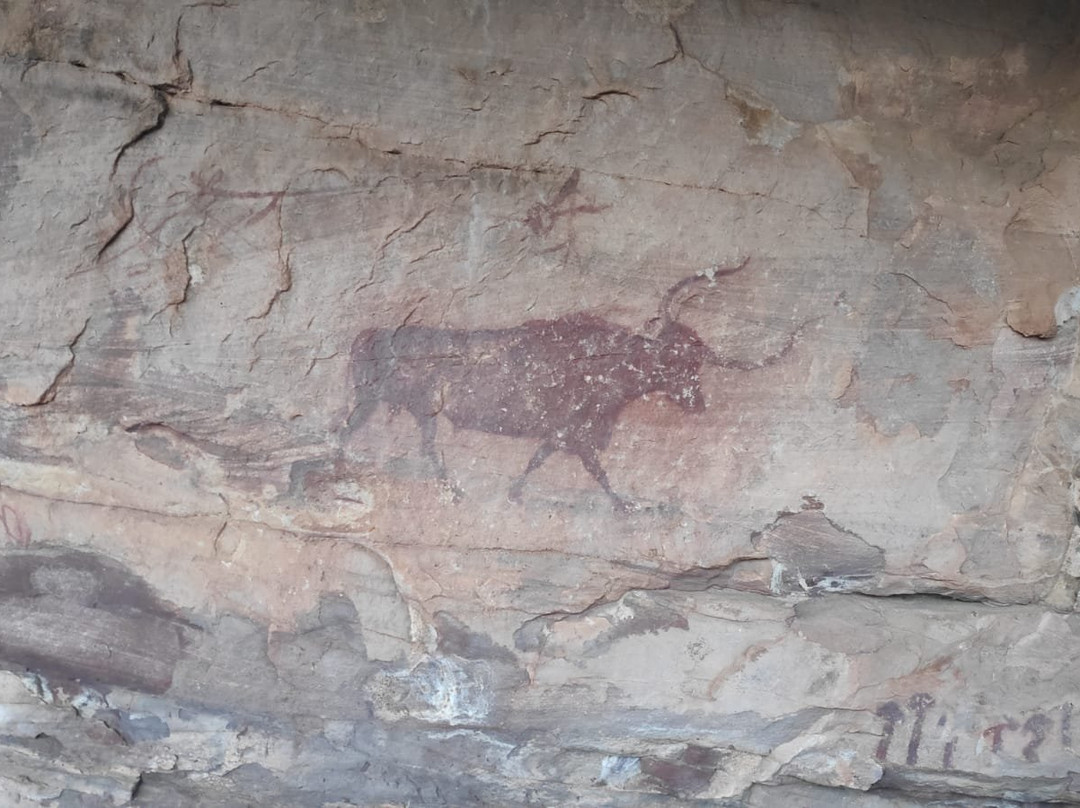 Selva Pascuala景点图片
