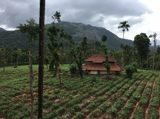 3 Hills County Resort Wayanad主图