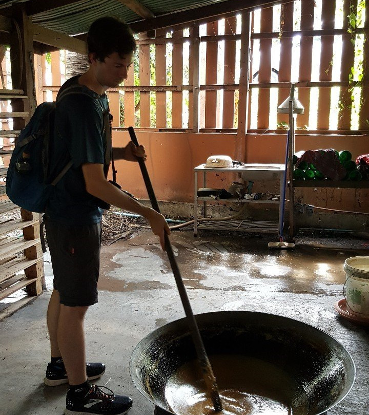 Coconut Sugar Farm景点图片