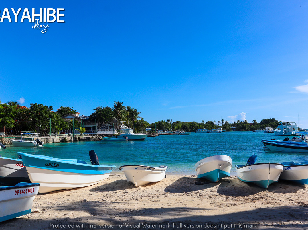 Bayahibe Village