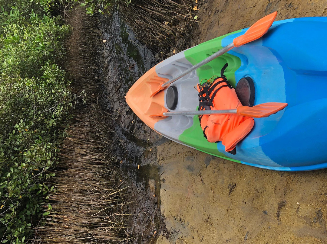 Kayak journey景点图片